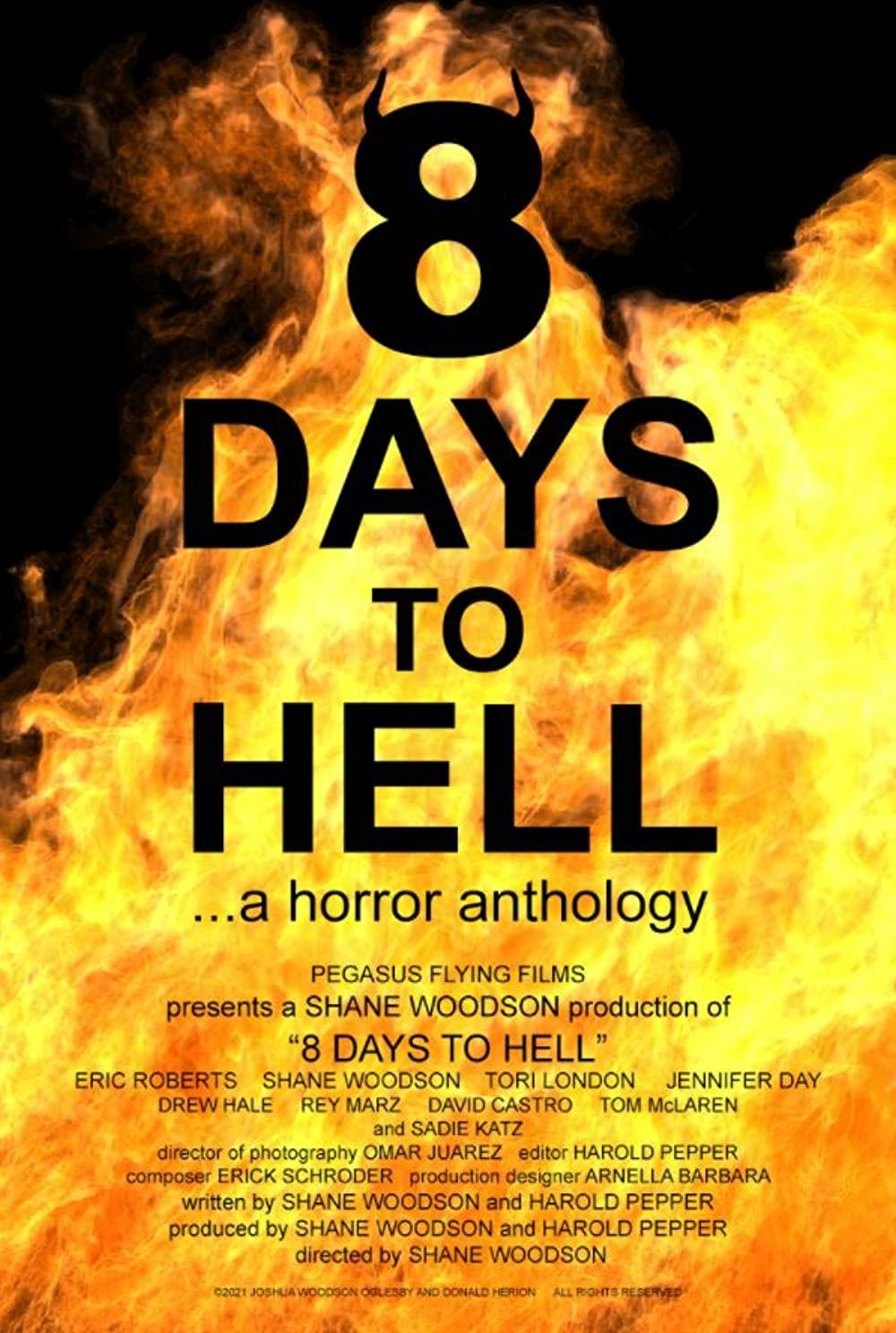 Постер 8 Days to Hell